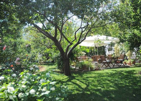 Hotel Gulec 1