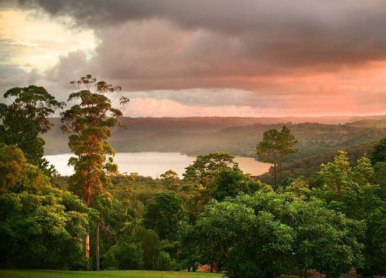 Montville Misty View Cottages 1