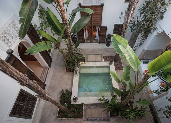 Riad Jaaneman 1