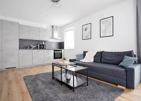 Deluxe apartment in the centre of OS 1