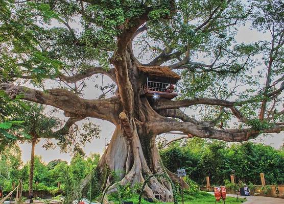 Wassado cultural lodging 1
