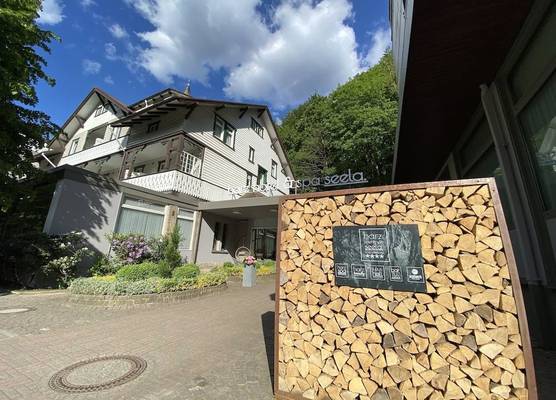 Harz Hotel & Spa Seela 1