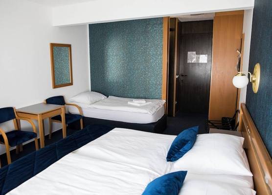 Hotel Alp 1