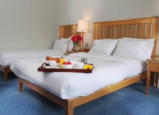 Ballymascanlon Hotel and Golf Resort 1