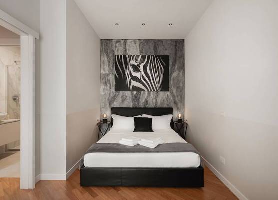 Deluxe central apartment 1