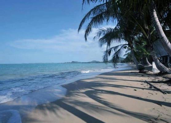 Shady Resort 1