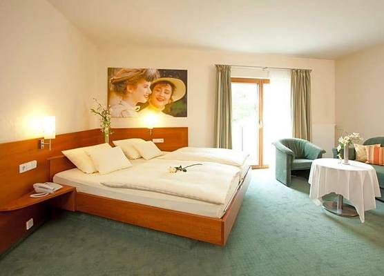 Hotel Adler 1