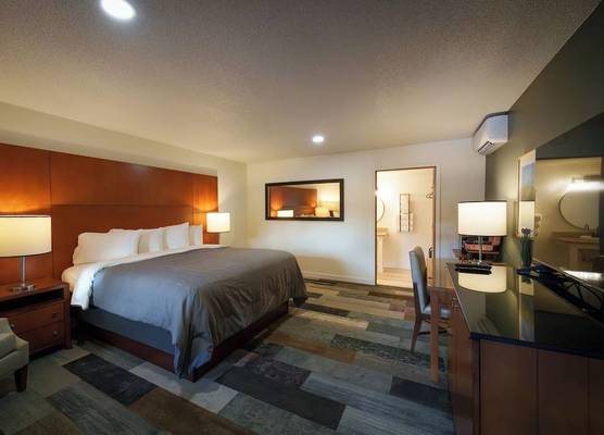 Shelton Inn 1