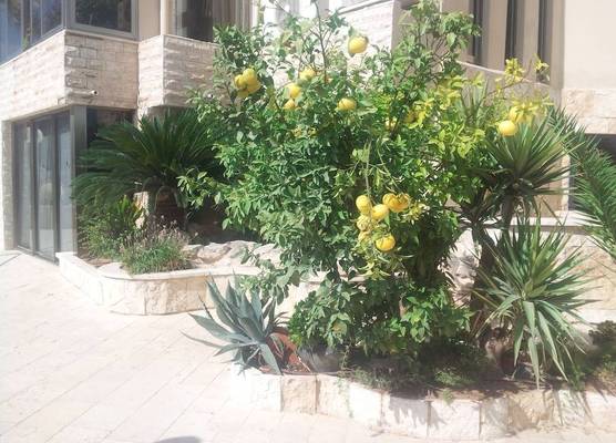 Marom Residence Romema 1
