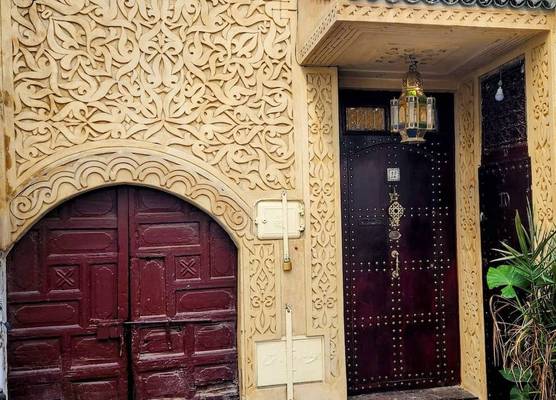 Riad Lily 1