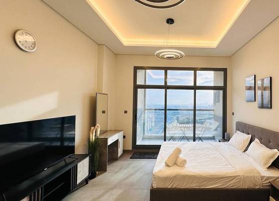 Luxury Spacious Apartment Near Downtown with Balcony and Free Parking by Belvilla 1