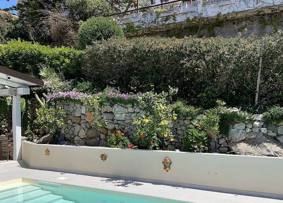 HOTEL MERCURIO SUL MARE - Fish restaurant and private beach 1