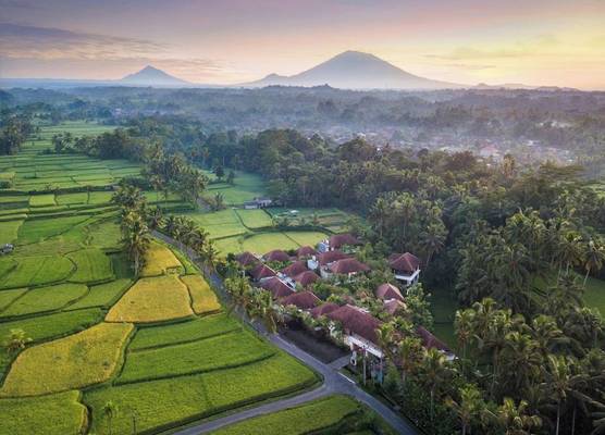 Dedary Resort Ubud by Ini Vie Hospitality 1