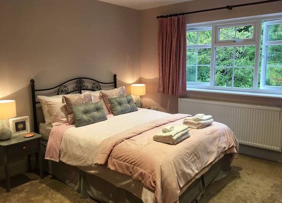 Leafy Suburban Bed and Breakfast 1