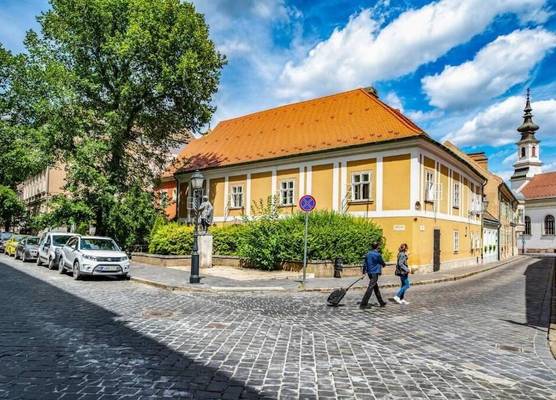 Giselle Buda Castle 1