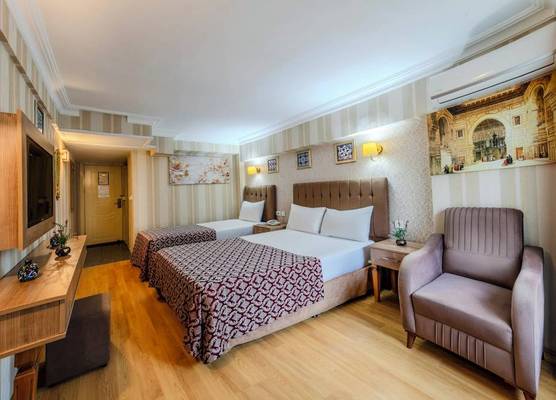 Hamit Hotel Istanbul - Special Category 1