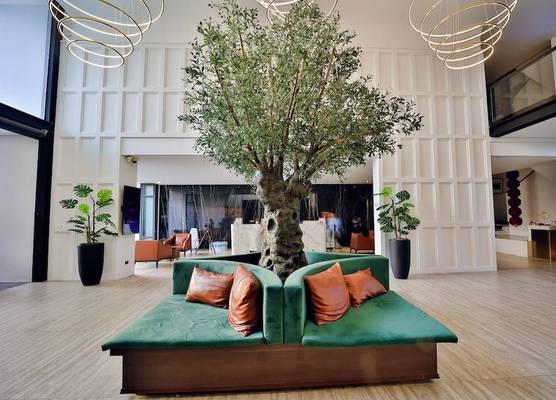 The Palayana Hua Hin 1