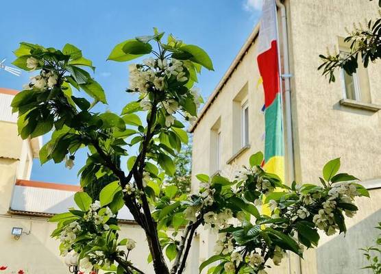 Reims Sherpa Guest House 1