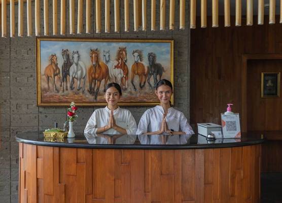 Taman Mesari Luxury Villas-Seminyak 1