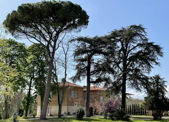 Château du Gô 1
