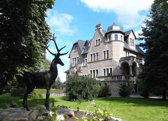 Schlosshotel Stecklenberg 1
