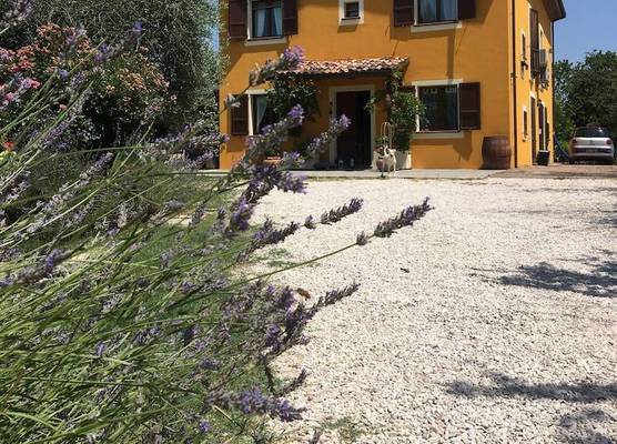 B&B La Lavanda 1