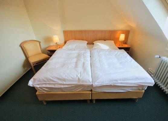 Hotel Wiking 1