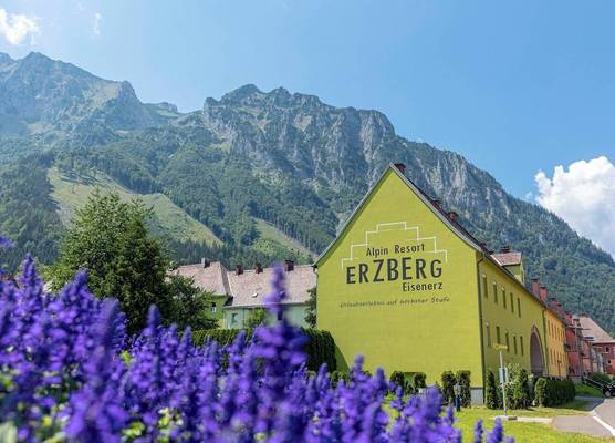 Erzberg Alpin Resort by ALPS RESORTS 1