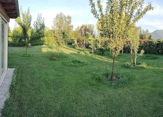 B&B La Rosa Nel Verde 1