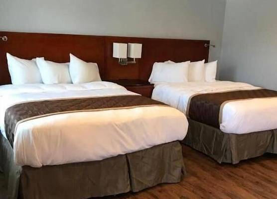 Rex Motel 1