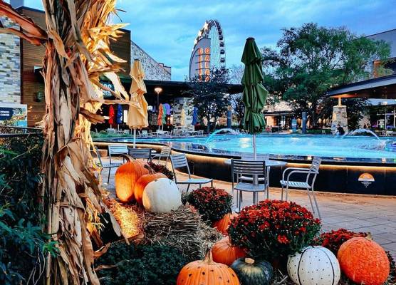 Hilton Garden Inn The Colony Dallas 1