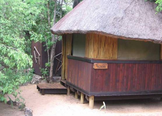 Offbeat Safaris 1