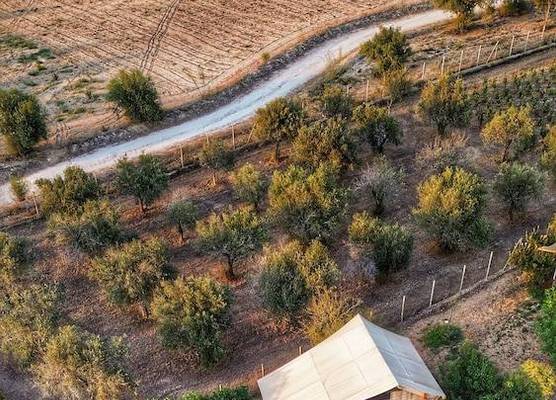 Ciriga Sicily Glamping 1