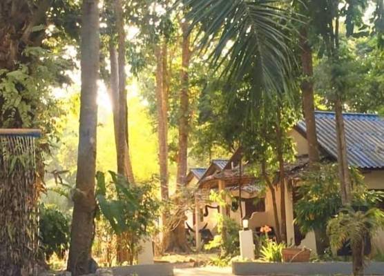 Papillon Bungalows 1