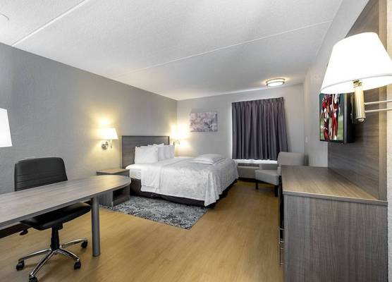 Red Roof Inn PLUS Boston - Mansfield - Foxboro 1