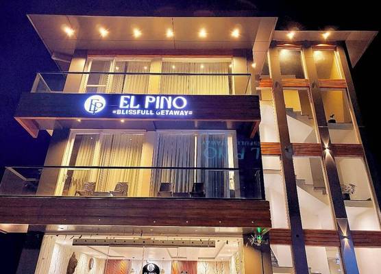 EL PINO 1