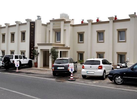 Olivias Group Hotel 1