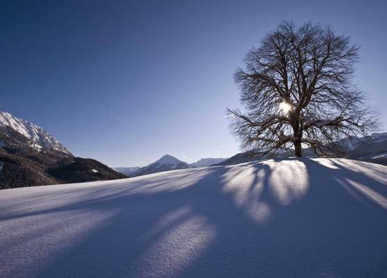 Posthotel Achenkirch Resort and Spa - Adults Only 1