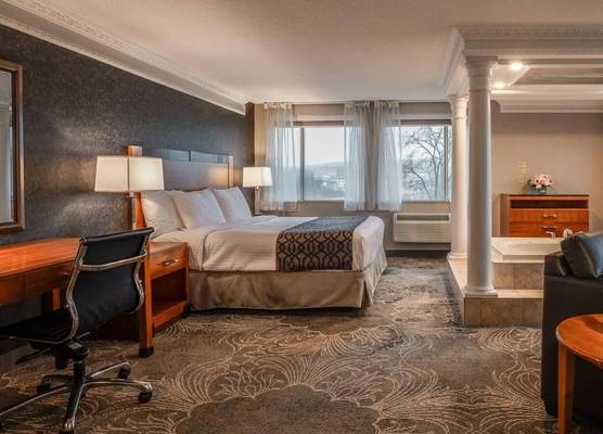 Monte Carlo Inn Barrie - Newly Renovated 1