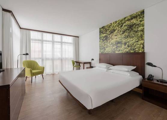 Neat Hotel Avenida 1