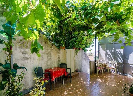 Guest House Mara 1