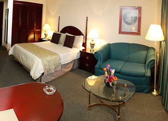 Pedregal Palace 1