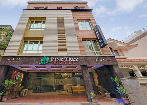 Hotel Pine Tree 1