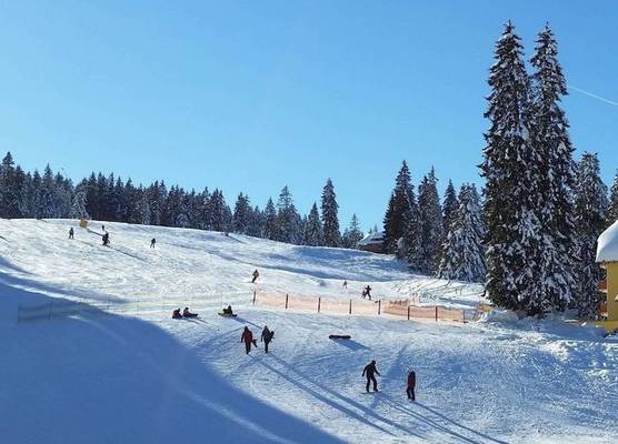 Burg Hotel Feldberg 1