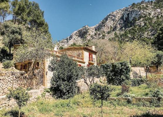 Finca Ses Fontanelles 1