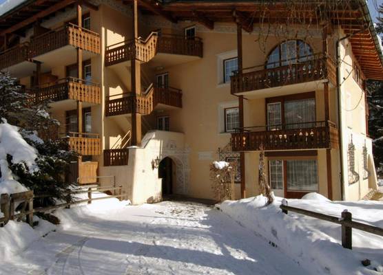 Soldanella by Hotel Adula 1