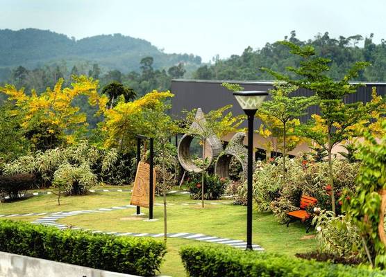 Monkeys Canopy Resort 1