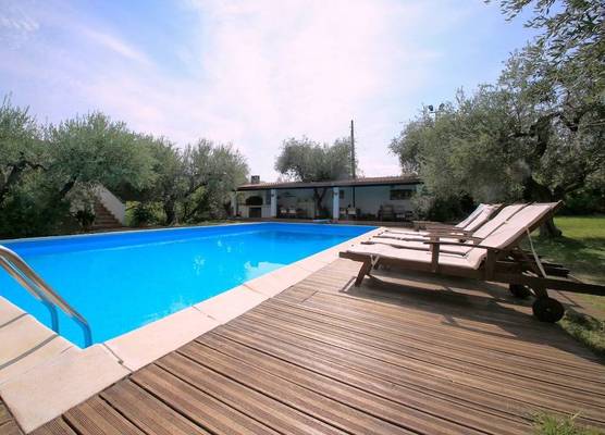 B&B Arli 1