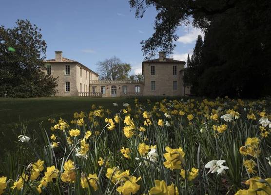 Château de Ferrand 1