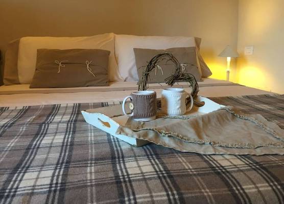 Room-double Room With Services 1